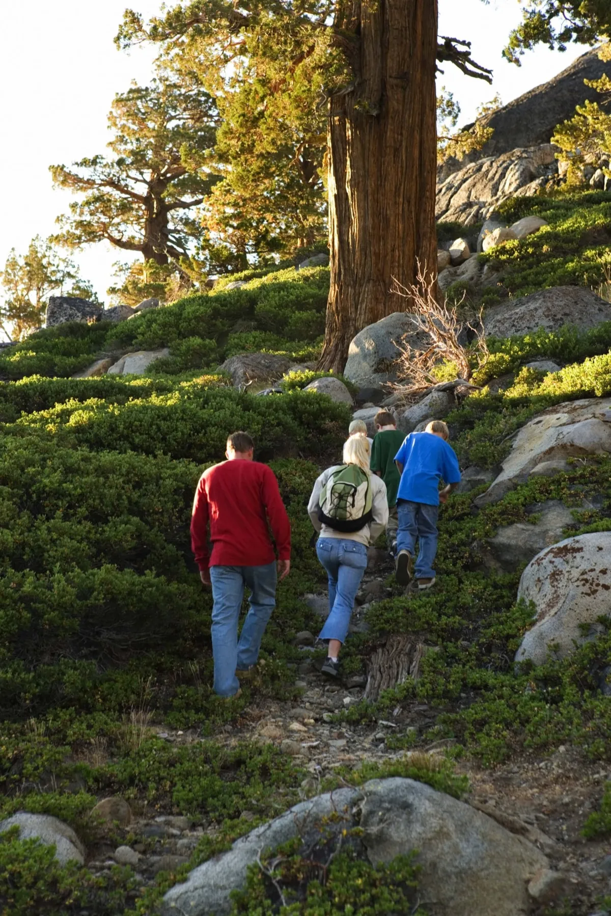 Hiking