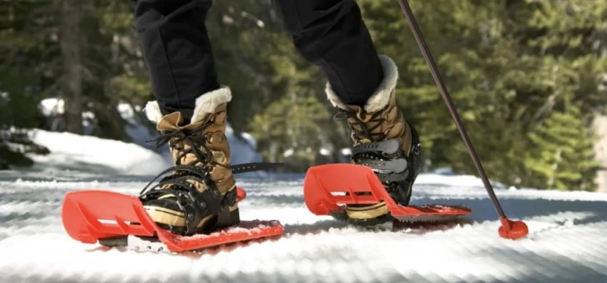 Snowshoe & Nordic
