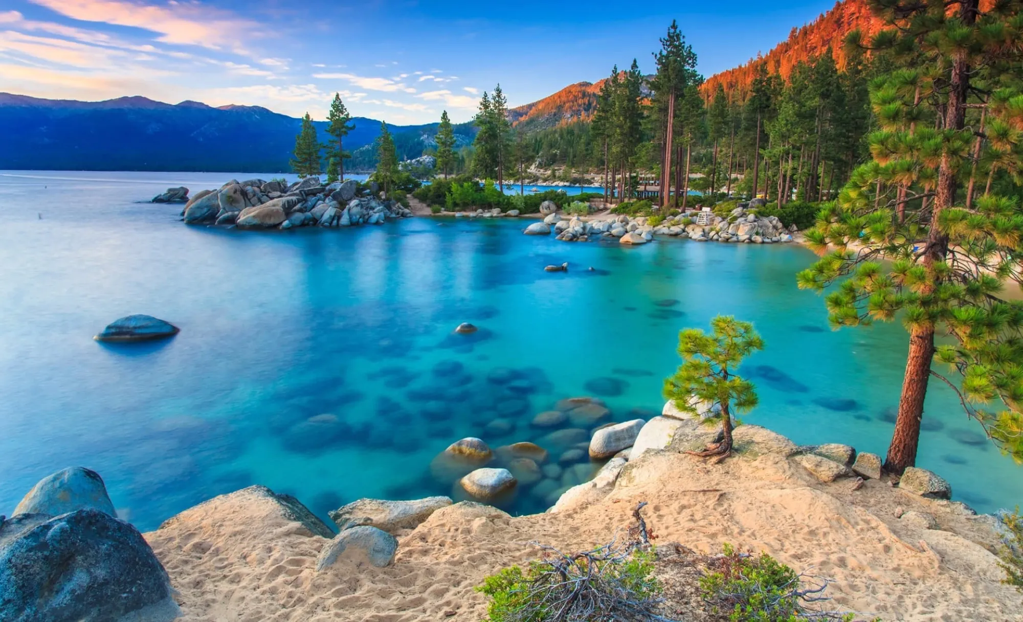 Cobalt water and pine trees on Lake Tahoe's south shore
